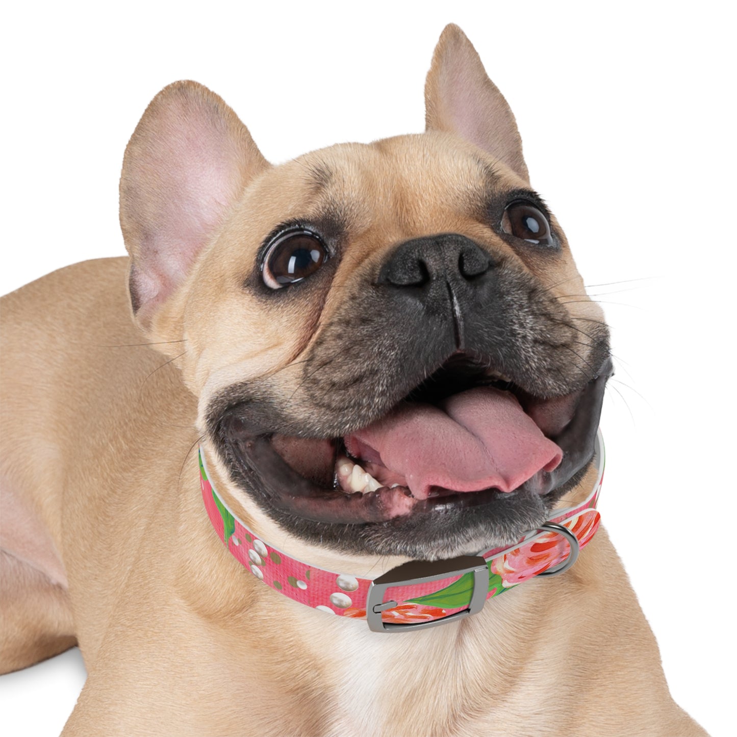 Pretty-N-Pink Pet Collar