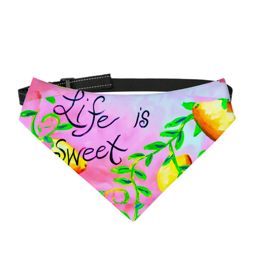 Life is Sweet Pet Bandana