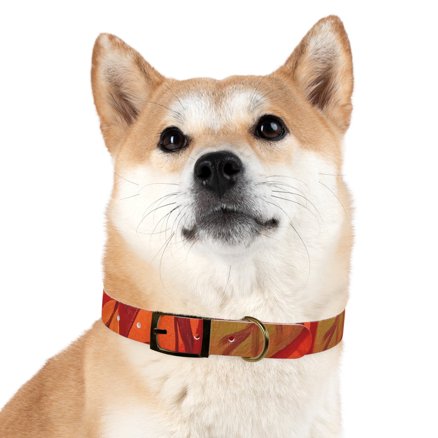 Autumn Leaves Pet Collar