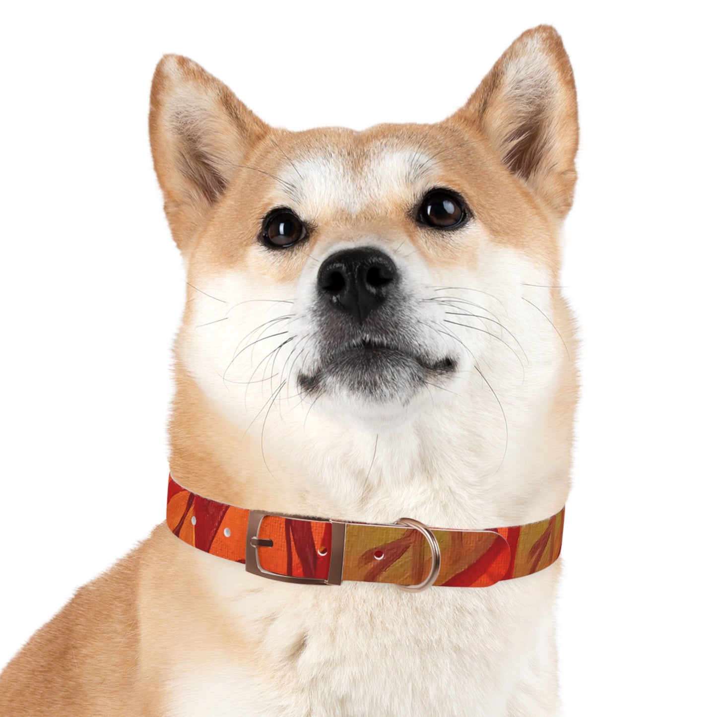 Autumn Leaves Pet Collar