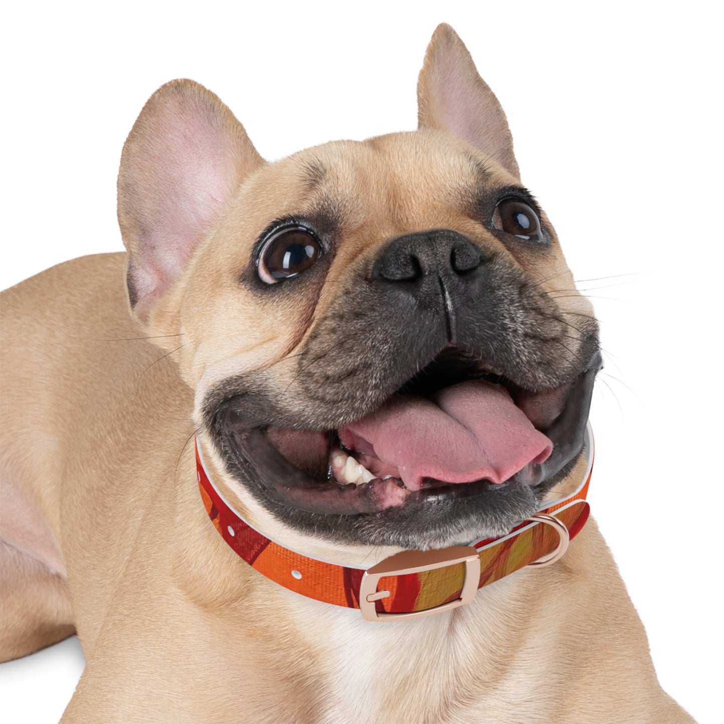 Autumn Leaves Pet Collar