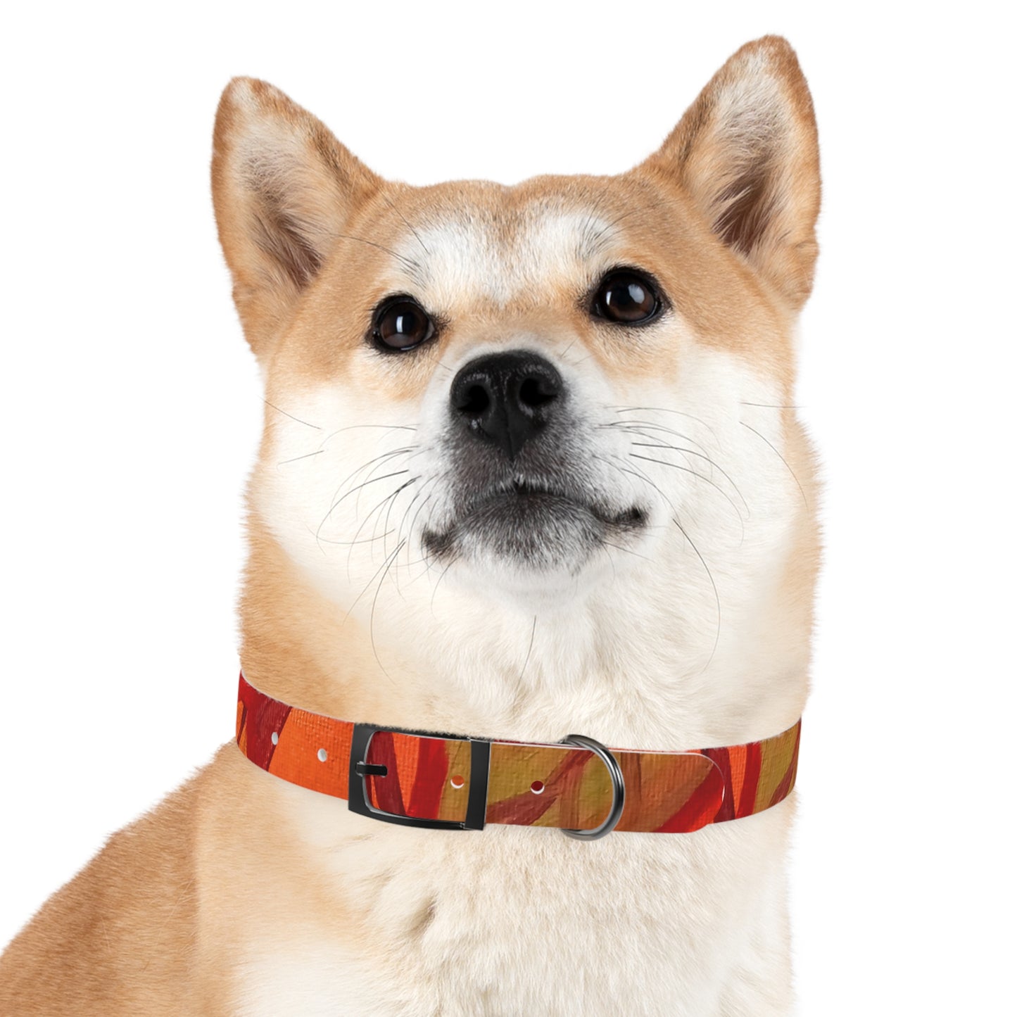 Autumn Leaves Pet Collar
