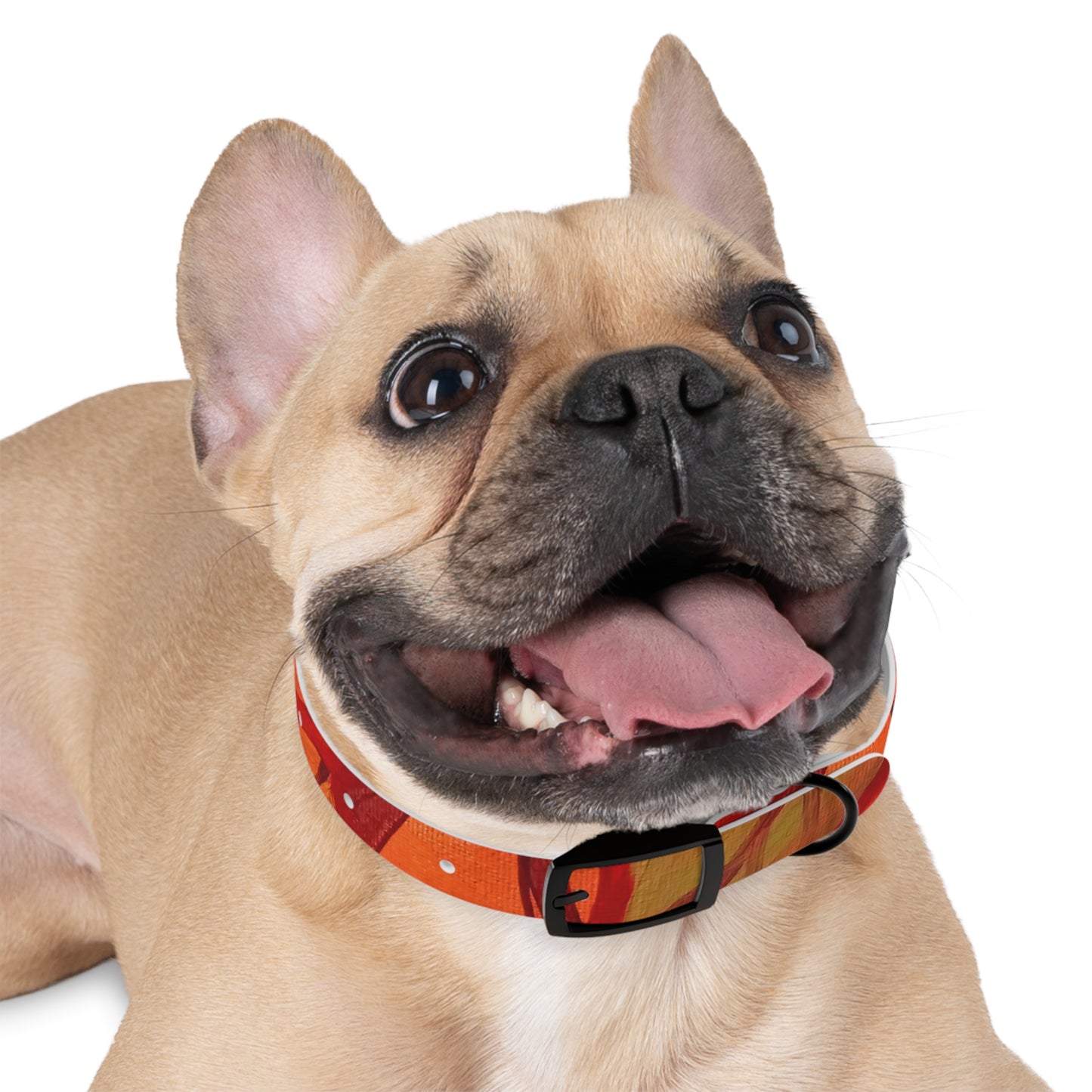 Autumn Leaves Pet Collar