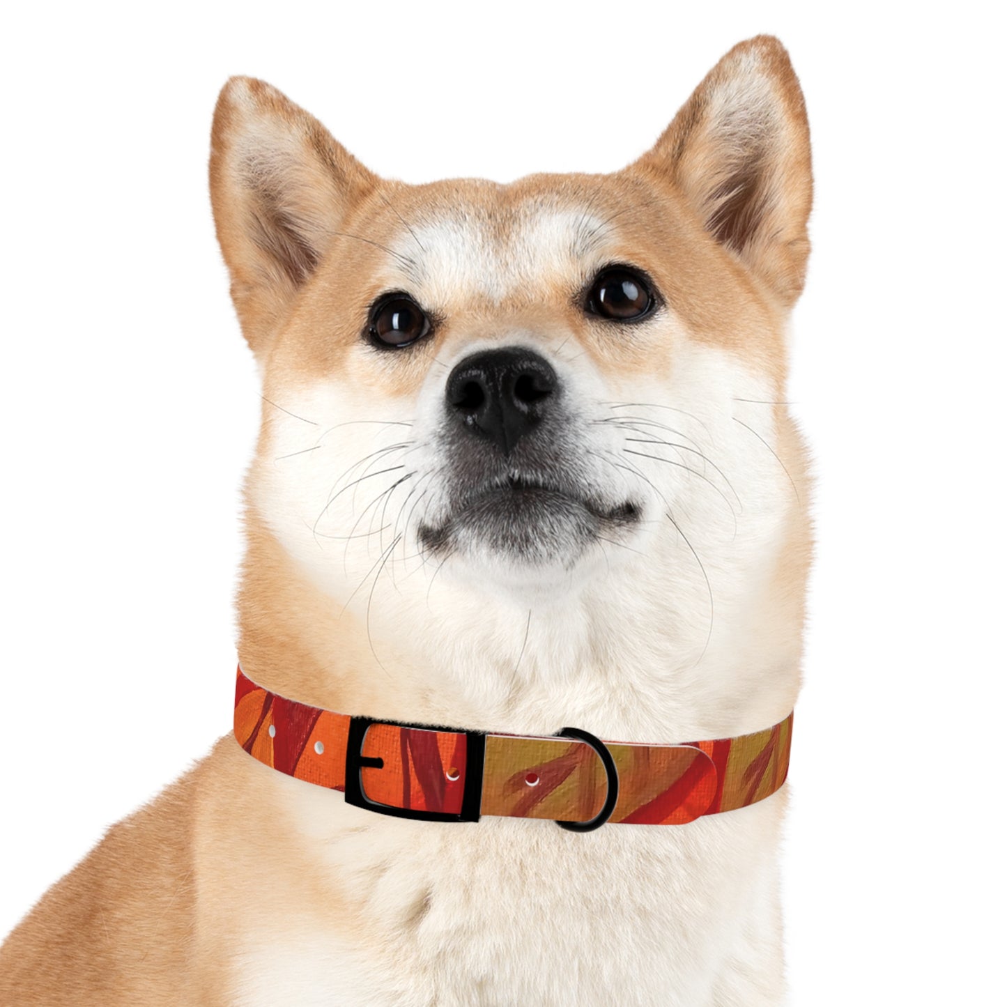 Autumn Leaves Pet Collar