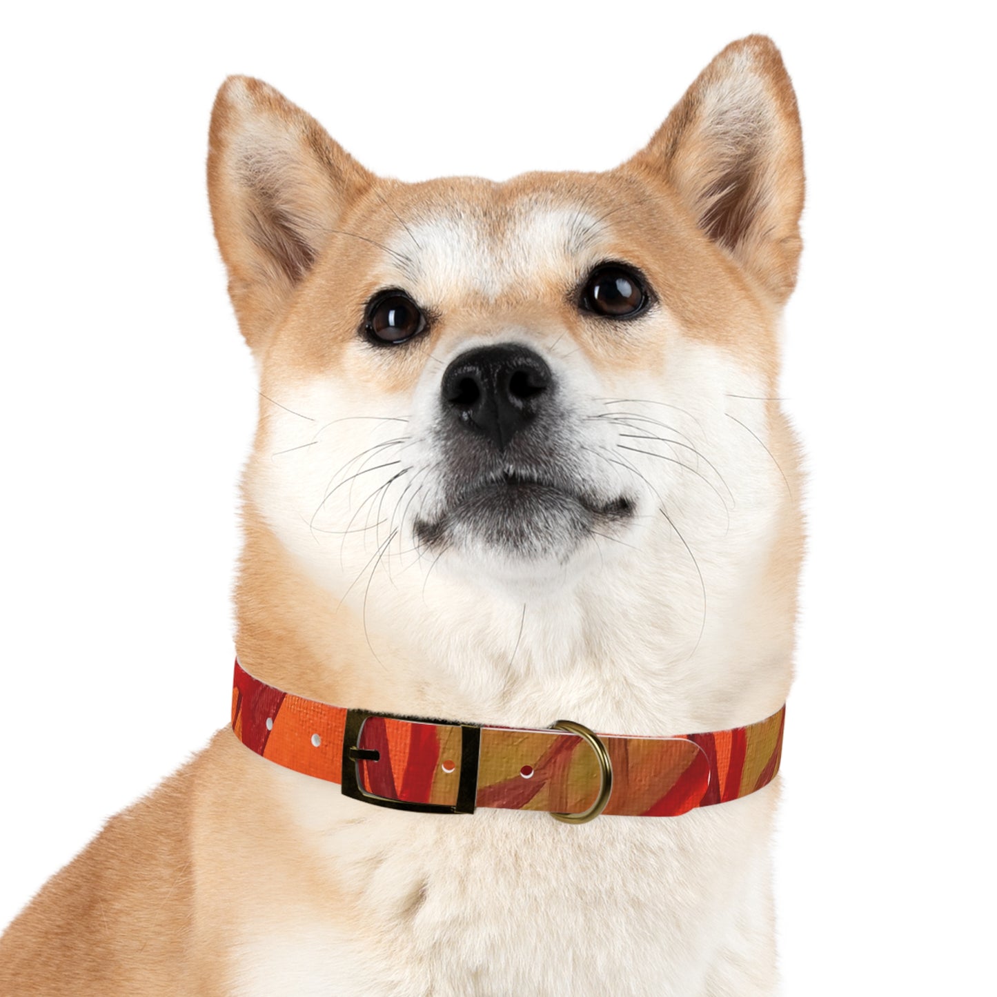 Autumn Leaves Pet Collar