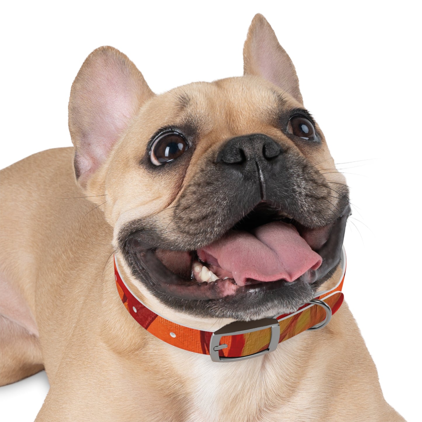 Autumn Leaves Pet Collar